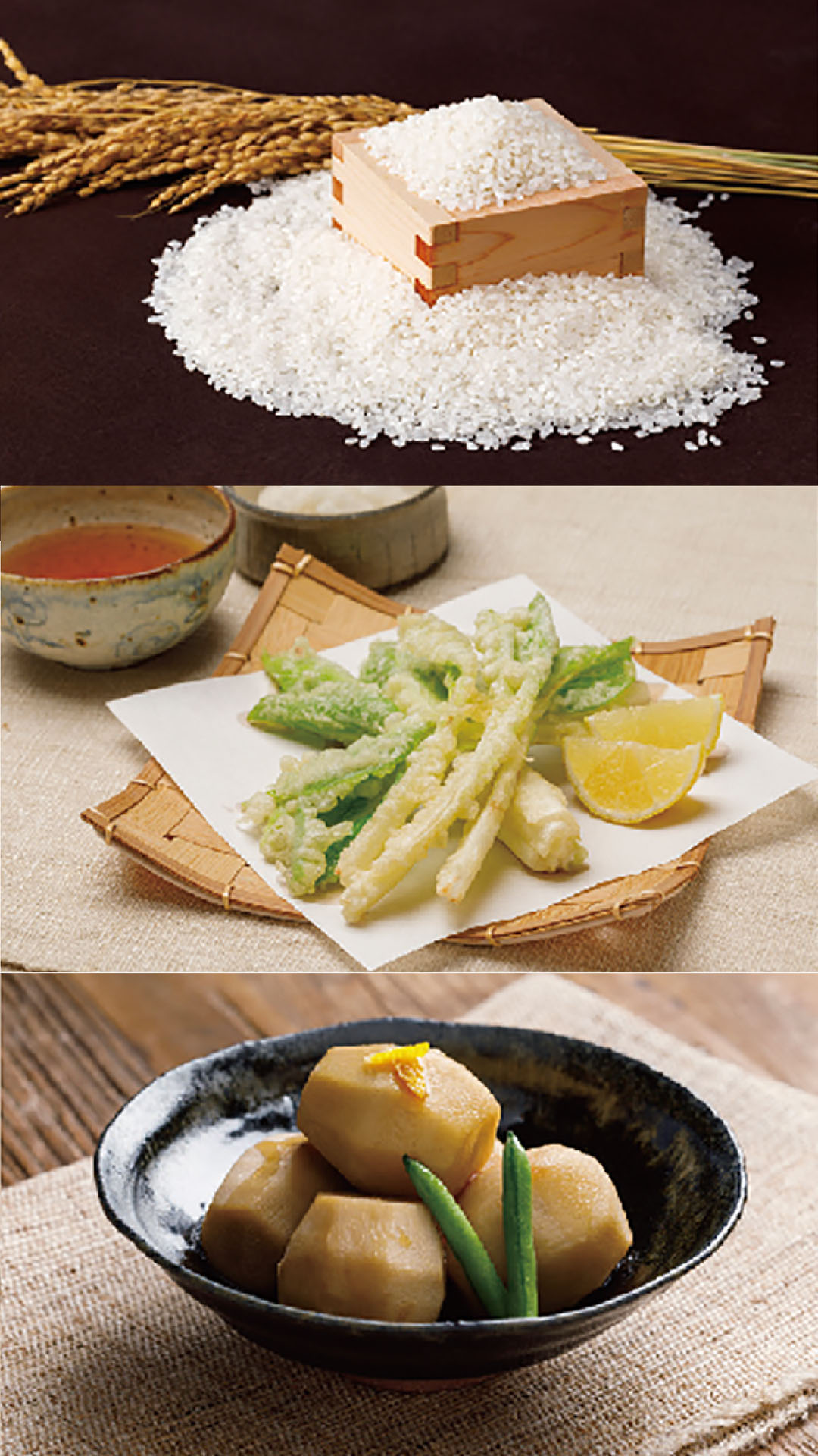 全国に届けたい食 – （JA庄内みどりの特産品）