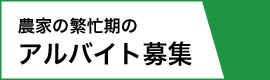 農家繁忙期のアルバイト募集
