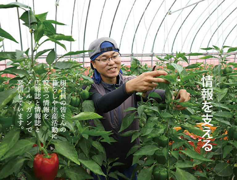 みどりページ 1024px-Sinclair_ZX_Spectrum_+