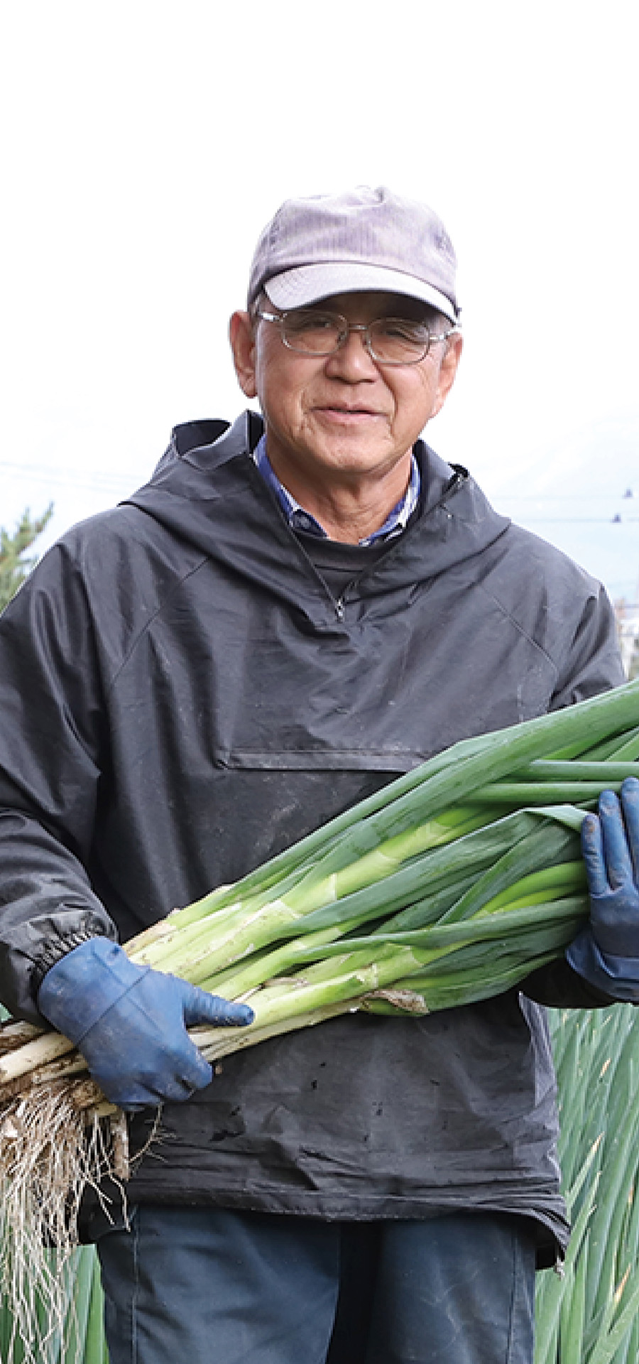 わたしたちの支える力 – （JA庄内みどりについて）